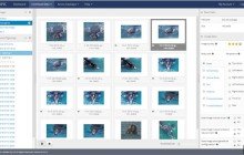 Whale Photo Id :: Grid View